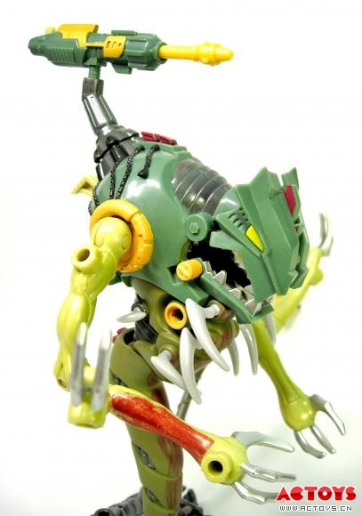 昆泰沙星人
