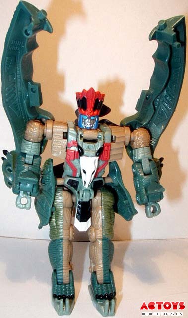 Striker