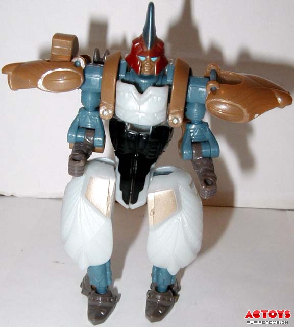 Magna Stampede