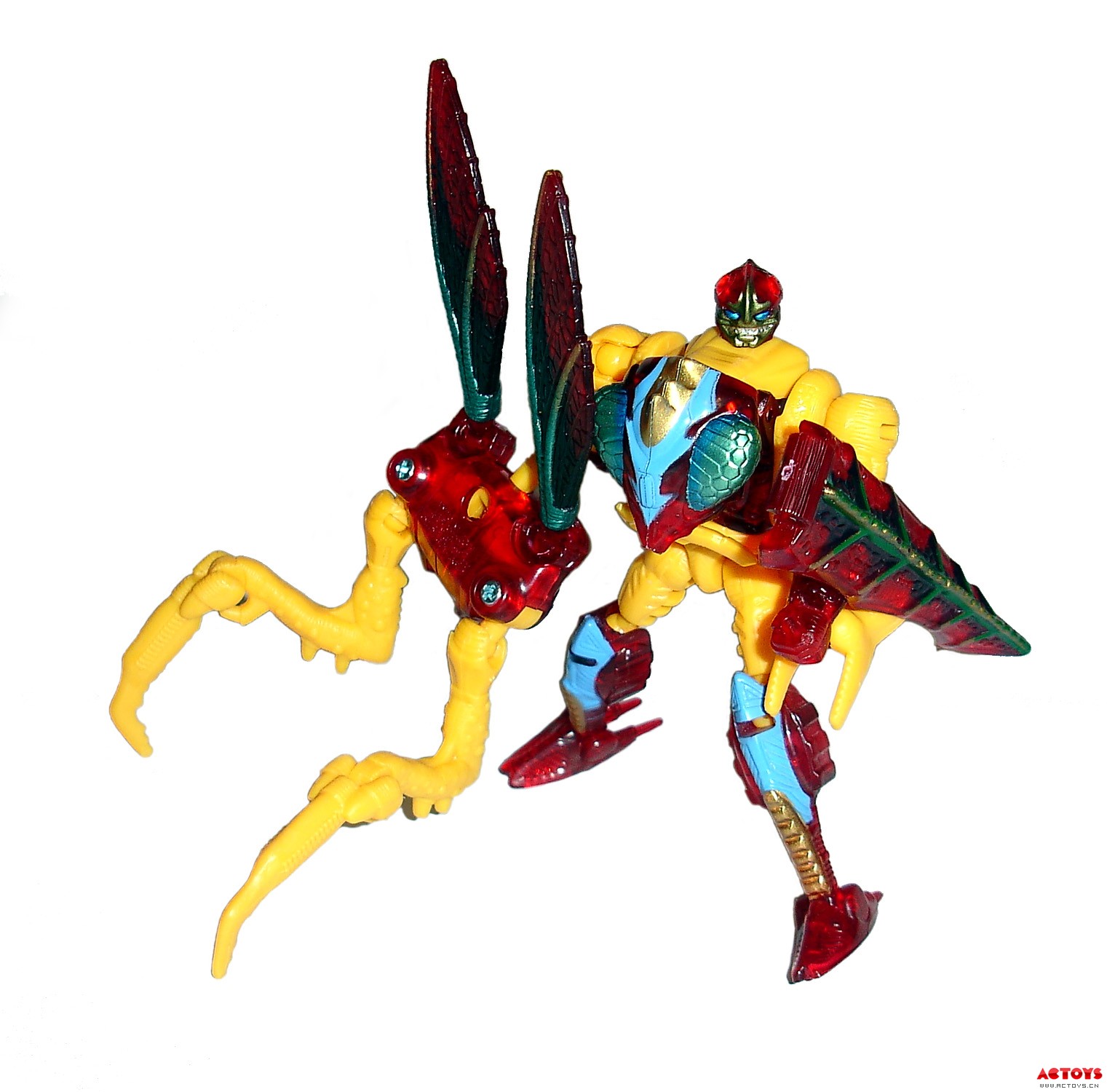Repugnus