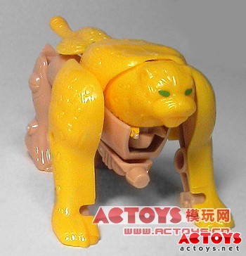 Cheetus 