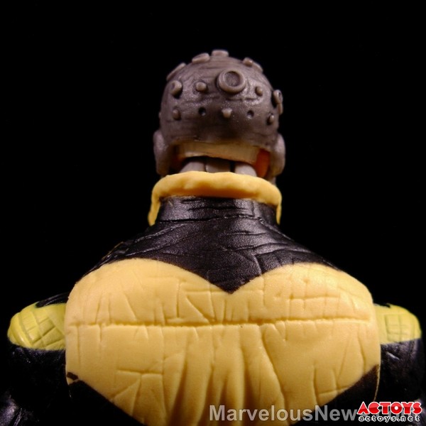 xorn