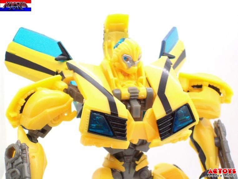 大黄蜂（RID）