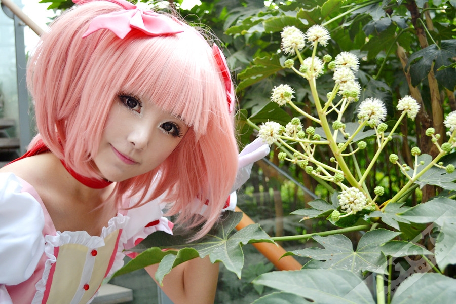 魔法少女 小圆 COSPLAY