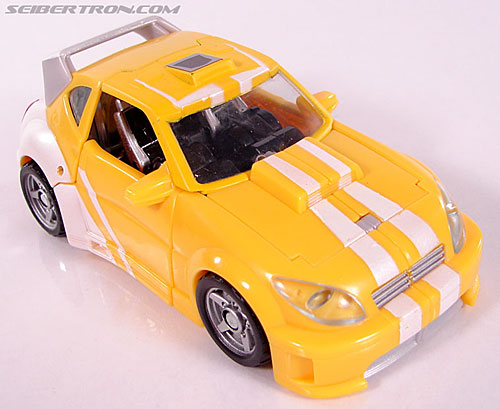 r_bumblebee017