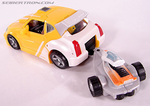 r_bumblebee025