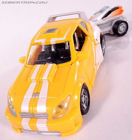 r_bumblebee029