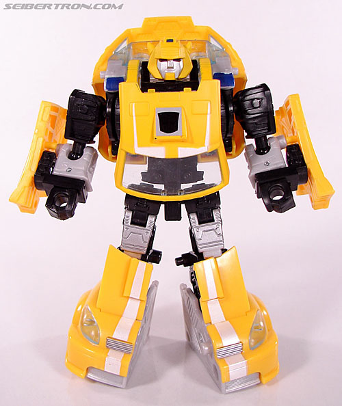 r_bumblebee038