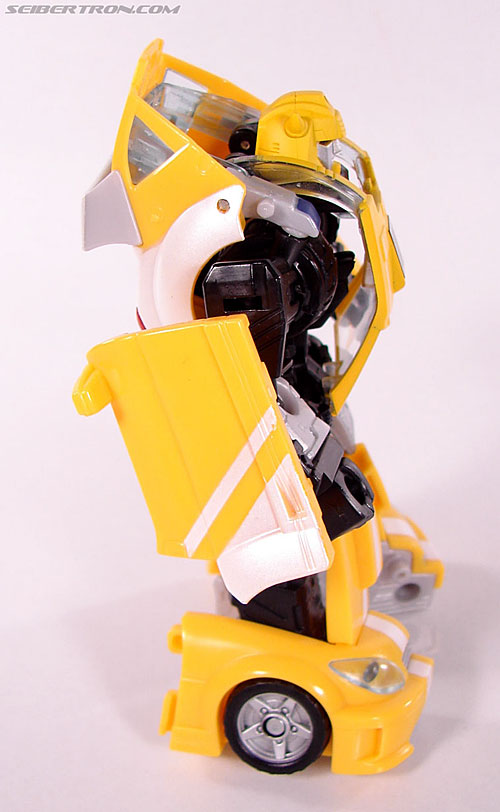 r_bumblebee041