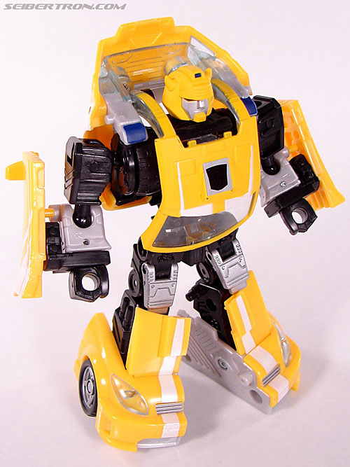 r_bumblebee039