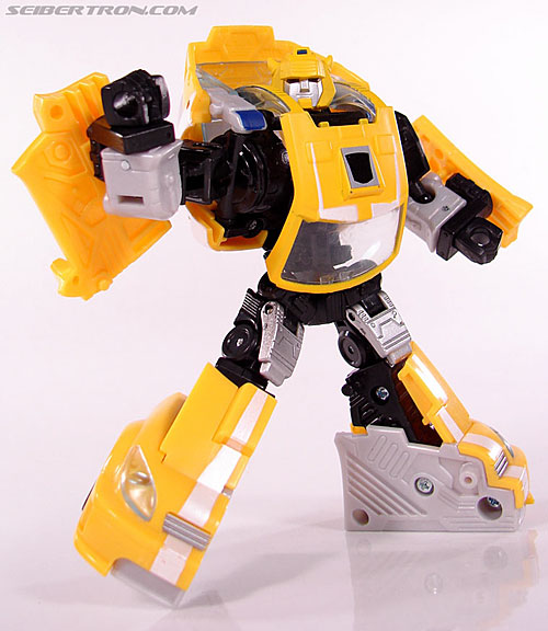 r_bumblebee053