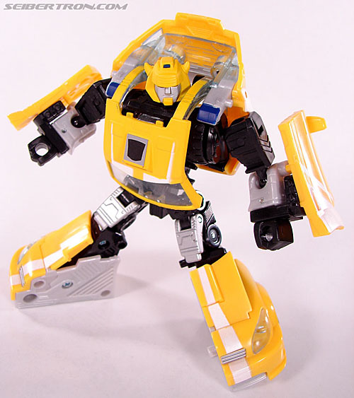 r_bumblebee049