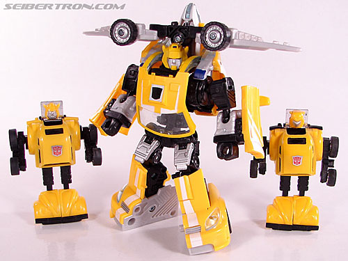 r_bumblebee093
