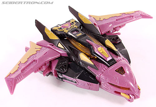 r_ratbat004