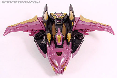 r_ratbat001