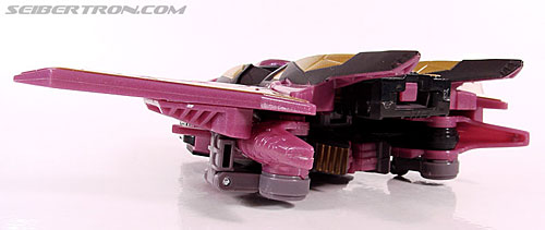 r_ratbat009
