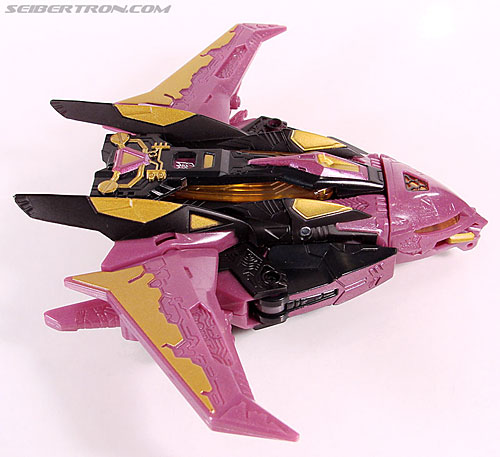 r_ratbat005