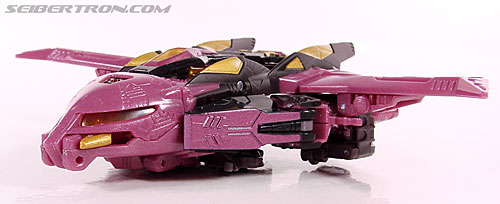 r_ratbat011