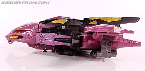 r_ratbat010