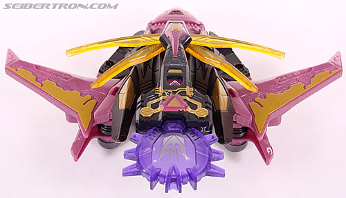 r_ratbat023