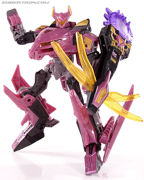 r_ratbat060