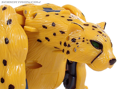 r_cheetor027