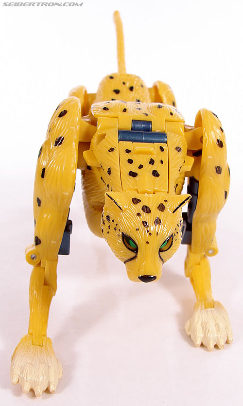 r_cheetor022