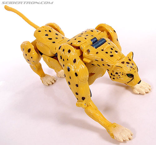 r_cheetor025