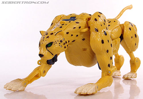 r_cheetor034