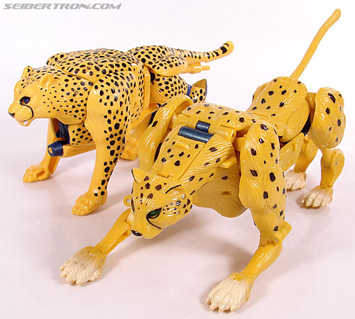 r_cheetor040