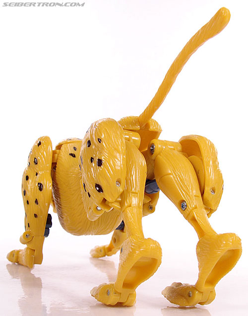 r_cheetor032