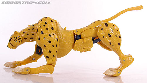 r_cheetor033