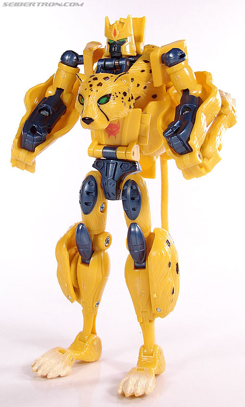 r_cheetor073