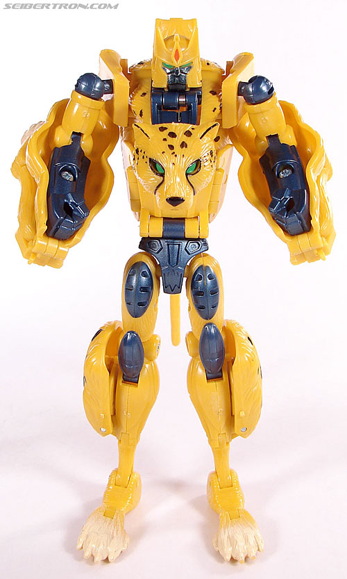 r_cheetor061