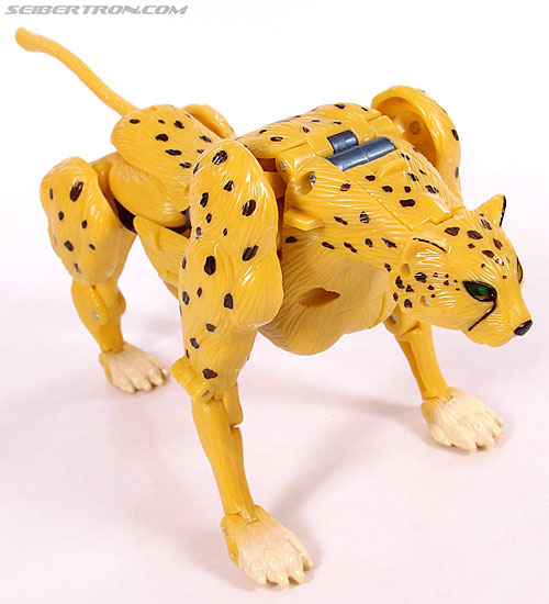 r_cheetor044