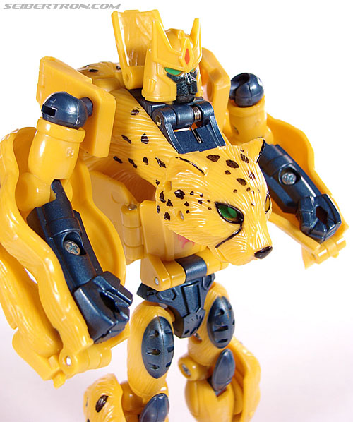r_cheetor065