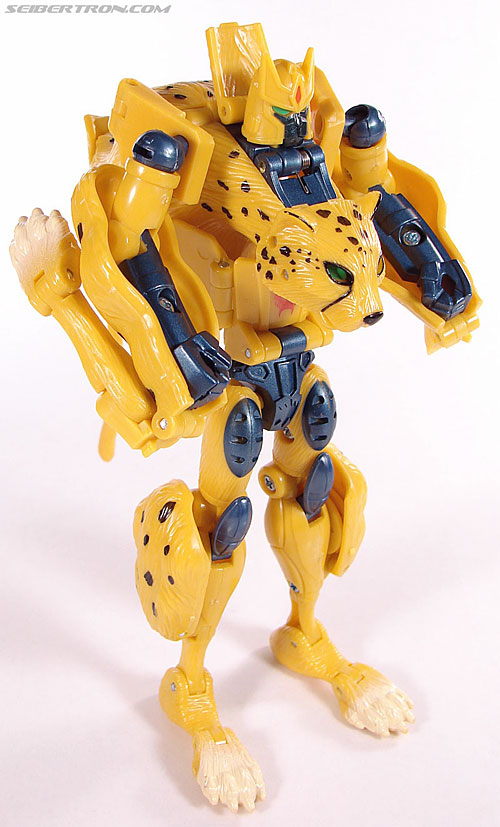 r_cheetor067