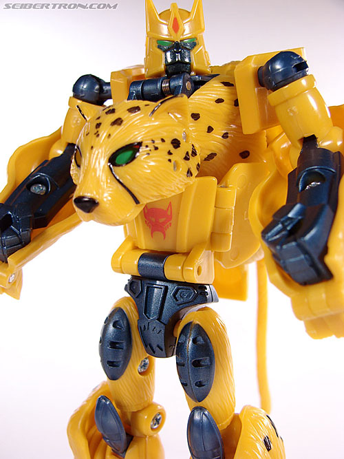 r_cheetor077