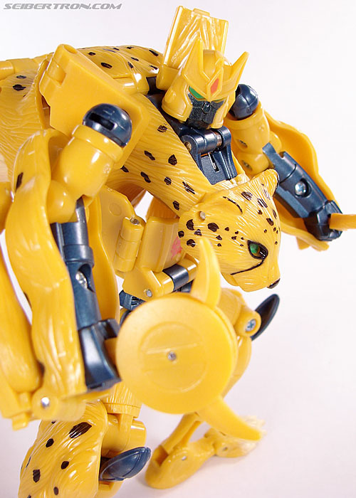 r_cheetor100