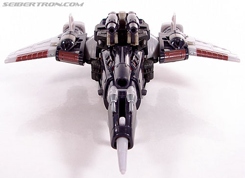 r_cyclonus034