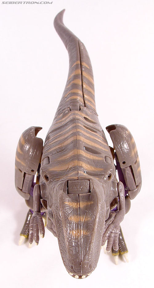 r_dinobot025