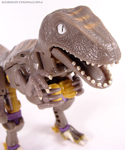 r_dinobot029