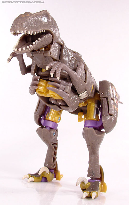 r_dinobot037