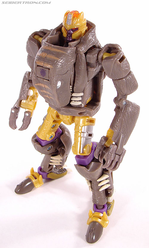 r_dinobot102
