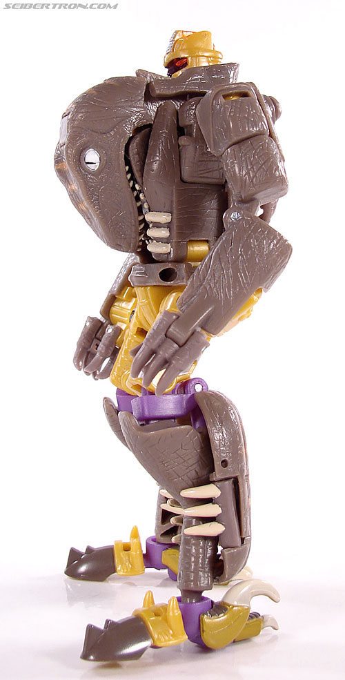 r_dinobot100